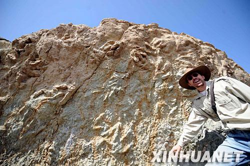 �ҹ���������ģ٪�޼Ϳ����㼣��ʯȺ(ͼ)