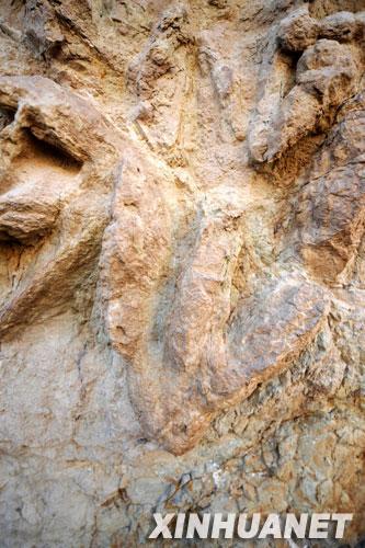 �ҹ���������ģ٪�޼Ϳ����㼣��ʯȺ(ͼ)