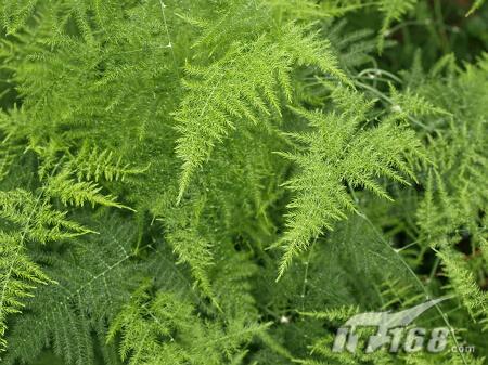 f2.0��Ȧ��׼���°�14-35mm��E3ʵ��(8)