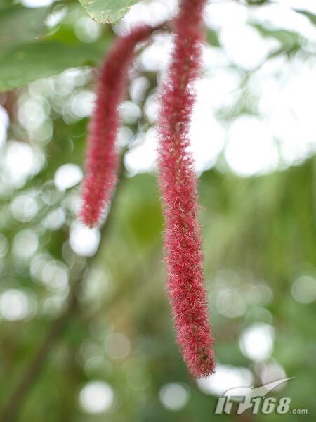 f2.0��Ȧ��׼���°�14-35mm��E3ʵ��(3)