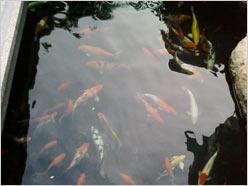 键盘手写双输入三星全键盘智能i780评测(13)