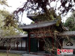 左右为难行水差价最大拍照手机汇总(3)