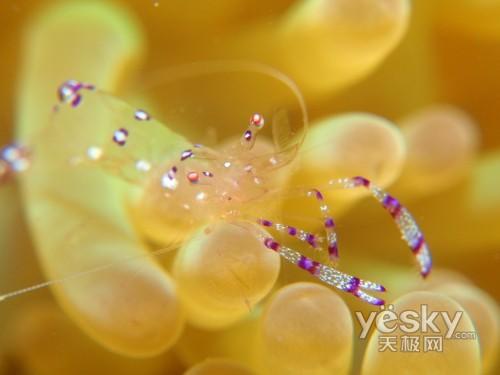 便携三防新突破奥林巴斯μ1030SW评测(11)