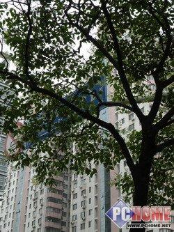 又见18X光变尼康首款长焦相机P80评测(7)