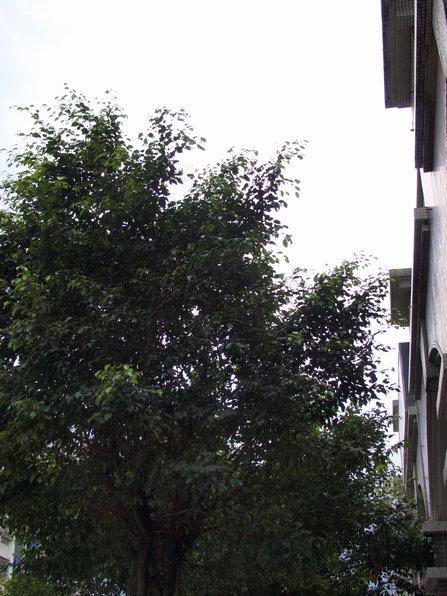 �ѵ����ſڴ��°ͱ���ͷ25mm/2.8����(5)