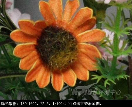 ���ŵ����ɳ��ķ��ռ���EOS450D����(11)