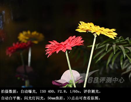 ���ŵ����ɳ��ķ��ռ���EOS450D����(14)