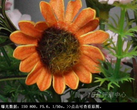 ���ŵ����ɳ��ķ��ռ���EOS450D����(10)