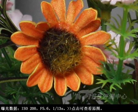 ���ŵ����ɳ��ķ��ռ���EOS450D����(10)