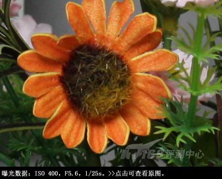 ���ŵ����ɳ��ķ��ռ���EOS450D����(10)