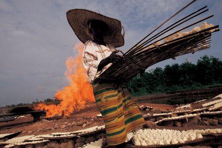 Ҫ�Լ۱�ѡ����ֵ�ù�ע��7֧������ͷ