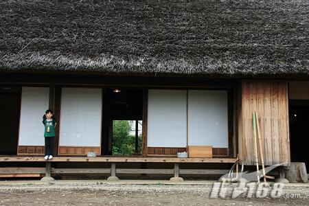 佳能450D配适马18-125mm防抖头实拍欣赏(2)
