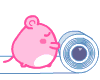 ˿ĻʽرBOBI