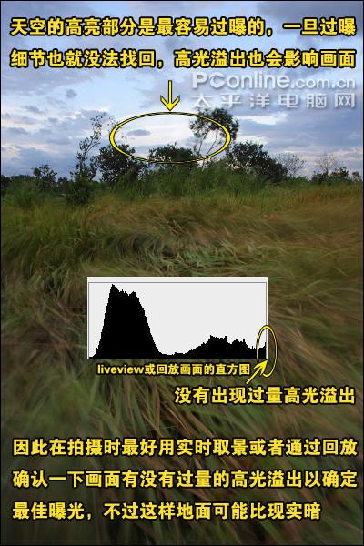 用机宝典佳能中端单反相机40D用机指南(4)
