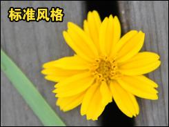 用机宝典佳能中端单反相机40D用机指南(2)