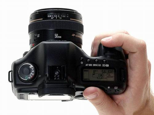 ȫ�������뵥������5D��ţͷ��20000