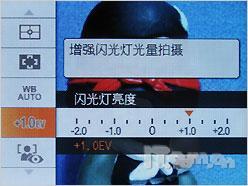 决战便携长焦佳能SX100IS激斗索尼H3(9)