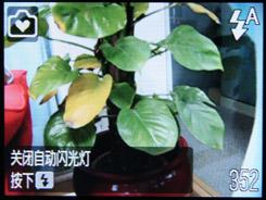 A系列的革新佳能新品A1000IS评测(5)