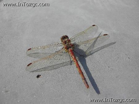 全方位讲解三星蓝调NV100HD完全评测(13)