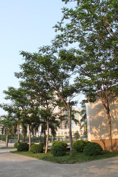 大变焦的魅力佳能EF-S18-200IS评测(15)