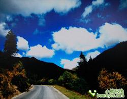 �ӵ�DVD���ȿ�RM-A6Ӳ�̲���������
