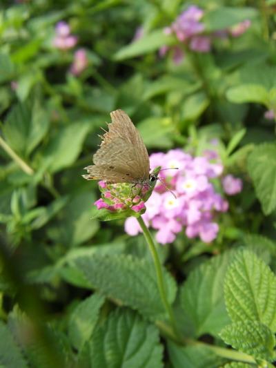 不一样的潮流风尚DC5x光变三星蓝调NV9详细评测