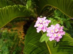 不一样的潮流风尚DC5x光变三星蓝调NV9详细评测