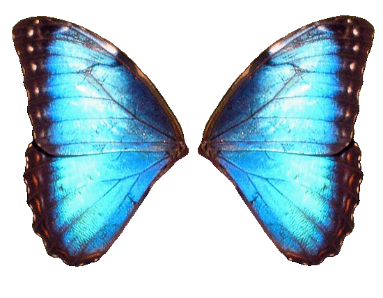 ʥ
