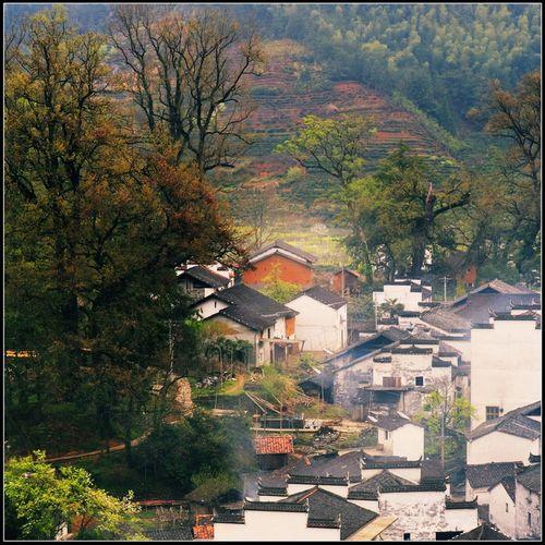 ������԰ʫ����Դ����5D��Ӱ��Ʒ��(4)