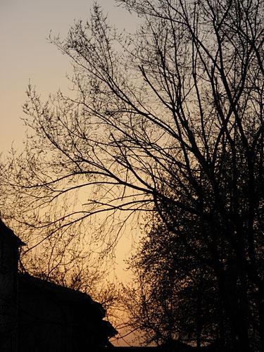 新添美颜功能奥林巴斯7X光变μ7000评测(7)