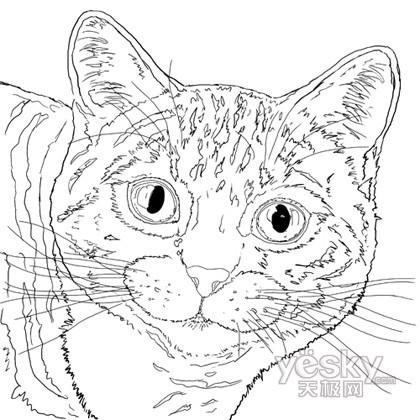 Photoshop教程:手绘一只漂亮的猫_软件学园