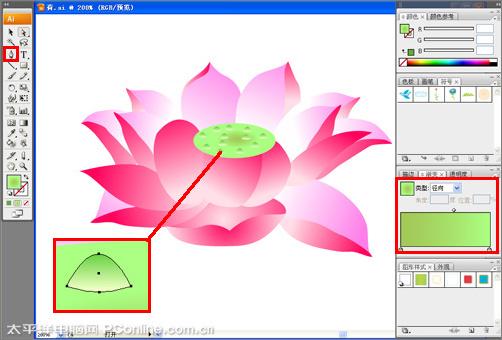 Illustrator CS3绘制矢量荷花插画_软件学园