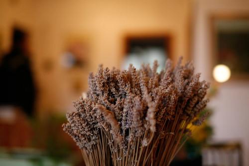 适马50F1.4EX DG HSM对比佳能50 F1.8(3)