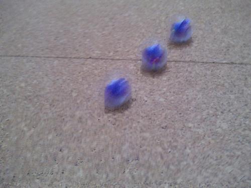 CCD摄像头 夏普千万像素933SH拍照测试(7)_