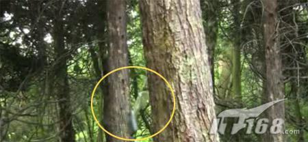 用枪射击诺基亚三防手机3720c测试