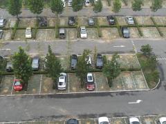 国产影帝争霸天语C218/华晶A806对比(4)