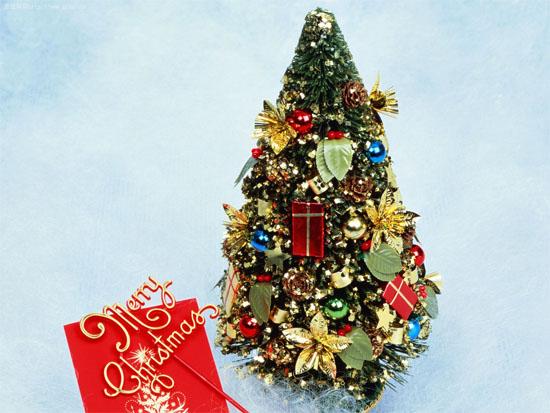 ʥ��������׼����������յ�������