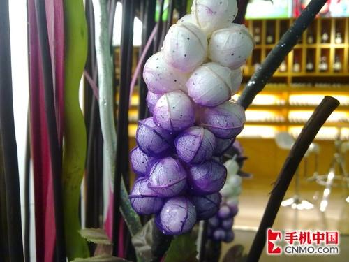 500万像素诺基亚触屏X6拍摄功能体验(4)