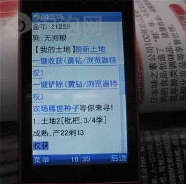 一键就偷菜海尔滑盖游乐手机U76评测(3)