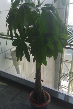 HTC Eris 