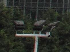 ���ŵ���PK�῵D3100/����550D�Ա�����(9)