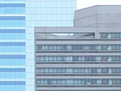 ���ŵ���PK�῵D3100/����550D�Ա�����(9)