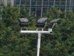 ���ŵ���PK�῵D3100/����550D�Ա�����(9)