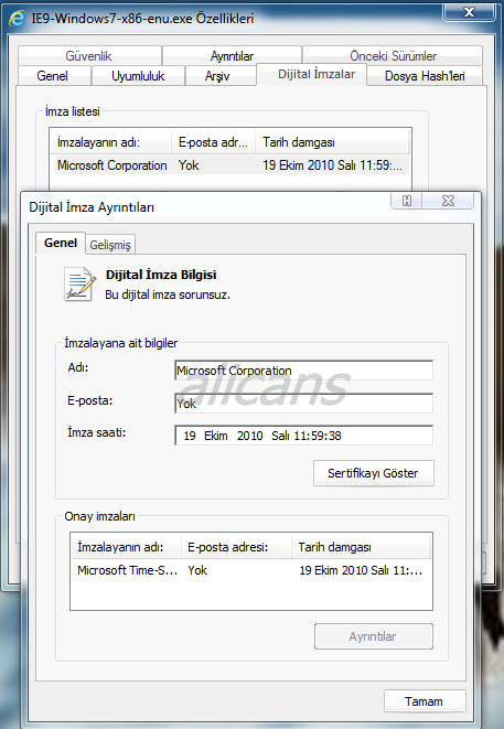 IE9²԰ͼع