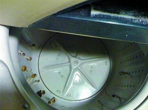 长蘑菇悲剧不再重演洗衣机清洁小妙招