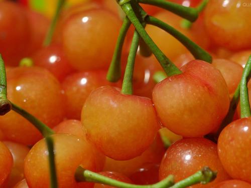 水果控最爱新鲜卖场超保鲜冰箱推荐