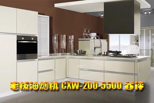 ICOOK新款 老板油烟机CXW-200-5500亮相_家