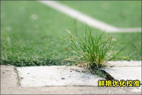 高画质法宝 相机RAW格式使用技巧详解(3)_数