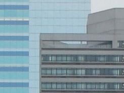 ���ŵ������῵D3100/����550D�Ա�����(6)