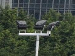 ���ŵ������῵D3100/����550D�Ա�����(6)